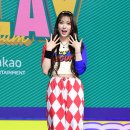 포토조아 이미지