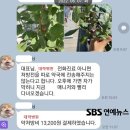 [단독] 후크엔터 권진영 대표, 2년간 직원에게 '수상한 약 심부름' 이미지