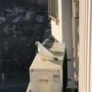 하얀마을 현대아이파크 이미지