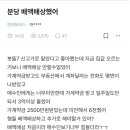 분당-164 한국경제