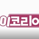 사단법인 아이코리아