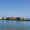 인어좌대 이미지