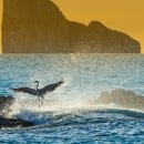 THE CAMP PC 이미지