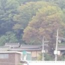 묘산고택 이미지