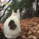 25세 동물병원 이미지