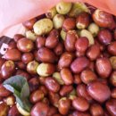 가을이네 이미지