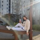 6184 | 나이키 여성 미드라이즈 우븐 팬츠 M사이즈 후기( DM6184-100 )