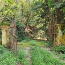 반동초등학교욱곡분교장 이미지