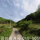 곡성-102 티스토리