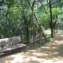 강남-292 이미지