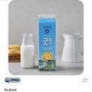 [내돈내산] 노브랜드 굿밀크 우유 노브랜드 PB우유 - 우유중에 가성비 최고!!