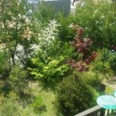 거창-남하-2 이미지