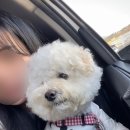 포레스트 명례 이미지
