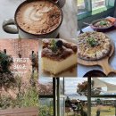 3002 | 여기 라자냐 잘하네? 명지브런치 맛집 포레스트3002 애견동반이 가능한 부산대형카페 포토스팟 가득한...