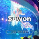 (주)금강약돌수원지점 | 수원에서 아이랑 가볼 만한 곳 광교 아쿠아 플라넷 공연과 위치 안내 추천하는 이유