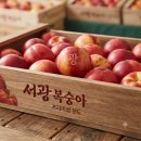 서광유통 - 이천시 가좌로103번길 34-55 | 7월의 보석: 품종별 복숭아 완벽 가이드