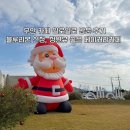 일로일로 | 무안 카페 일로일로 방문 후기 / 블루리본 선정, 정원뷰 좋은 베이커리카페