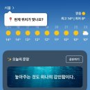 이시꾸네일 | 워홀 ep.14 공사다망 마드리드 워홀 일상 | 전자렌지 김치찜 | 스페인 전기장판 후기 | No Spain No Gain
