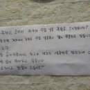 제주올레족발 네이버블로그