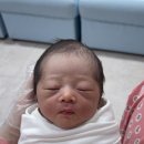 미즈아이산부인과 네이버블로그