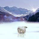 해양4로 이미지