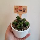 광진장애인자립생활센터 이미지