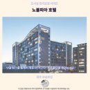 제주 노블피아 호텔 후기 가성비 갑 서귀포 추천 숙소