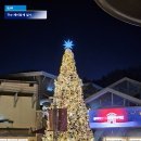 여주 프리미엄 아울렛 프라다 패딩, 주차 위치 및 운영시간 정보
