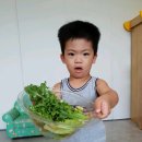 아삭톡톡