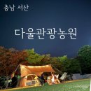 다울 이미지