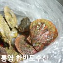 한반도 수산 이미지