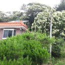 보리수마을 이미지