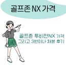 심스 스크린골프 | 골프존 NX 투비전엔엑스 실감나는 스크린 그리고 가격