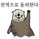 수원-0484 이미지