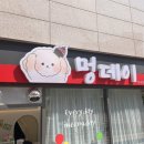 멍데이(meongday) 이미지