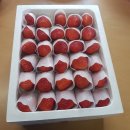 준이네농장 이미지