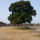 김흥철사무소 이미지