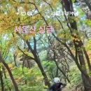 서운산 싱글(유튜브 숏츠) 이미지