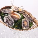 완도전복 이미지