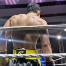 TSQ BOXING 이미지