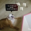 뽕자
