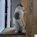 제주포인트투어 | 서귀포 유람선 제주투어패스 사용 후기 | 가족 여행 필수 코스!