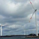 제주의 추억 이미지