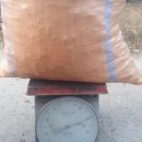 텃골2 농장 이미지