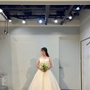 [촬영준비] 셀렉션H 촬영드레스 셀렉 후기 🩵