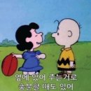 마음오름심리상담센터 이미지