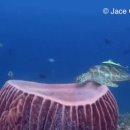 편안한거북이한의원 이미지