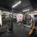 오렌다 핏 이미지