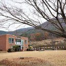 묵방산들국화 이미지