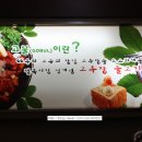 동문수학교습소